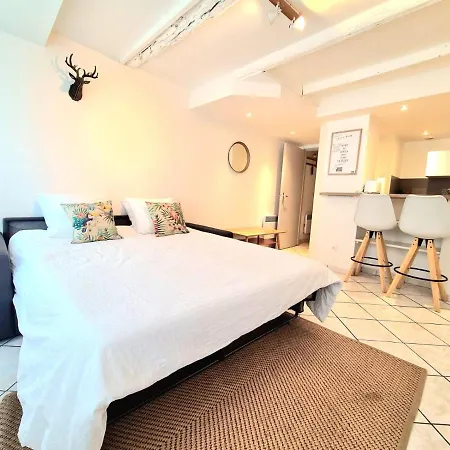 Les Cosy De - La Cache Du Cerf - 4etoiles * Nancy